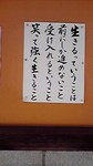 2009031813170000.jpg