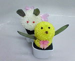 ピンポン菊1004.jpg
