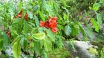 ̃{P0904.jpg