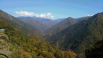 DSC_0245.JPG