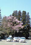 P_Ђ̍110406.jpg